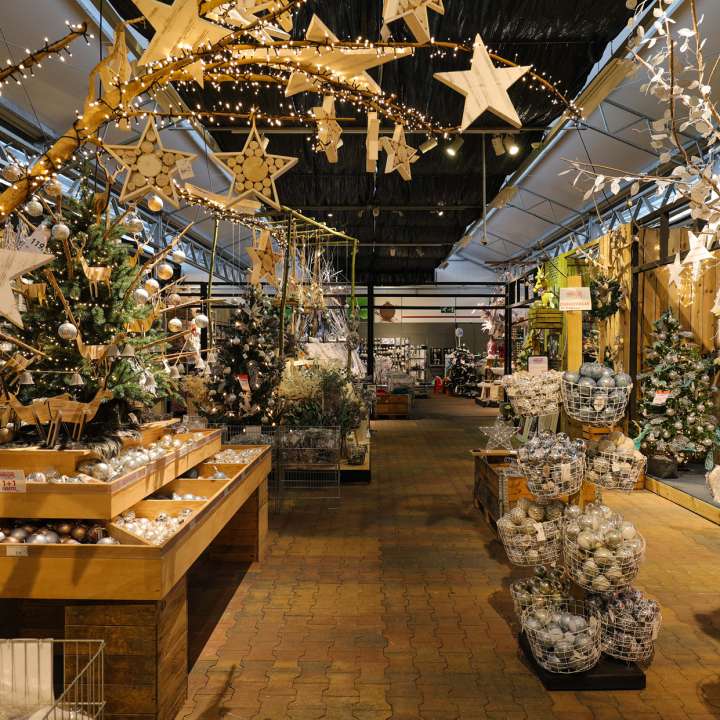 Kerstsfeer en decoratie Kerst Tuincentrum Almeer Plant